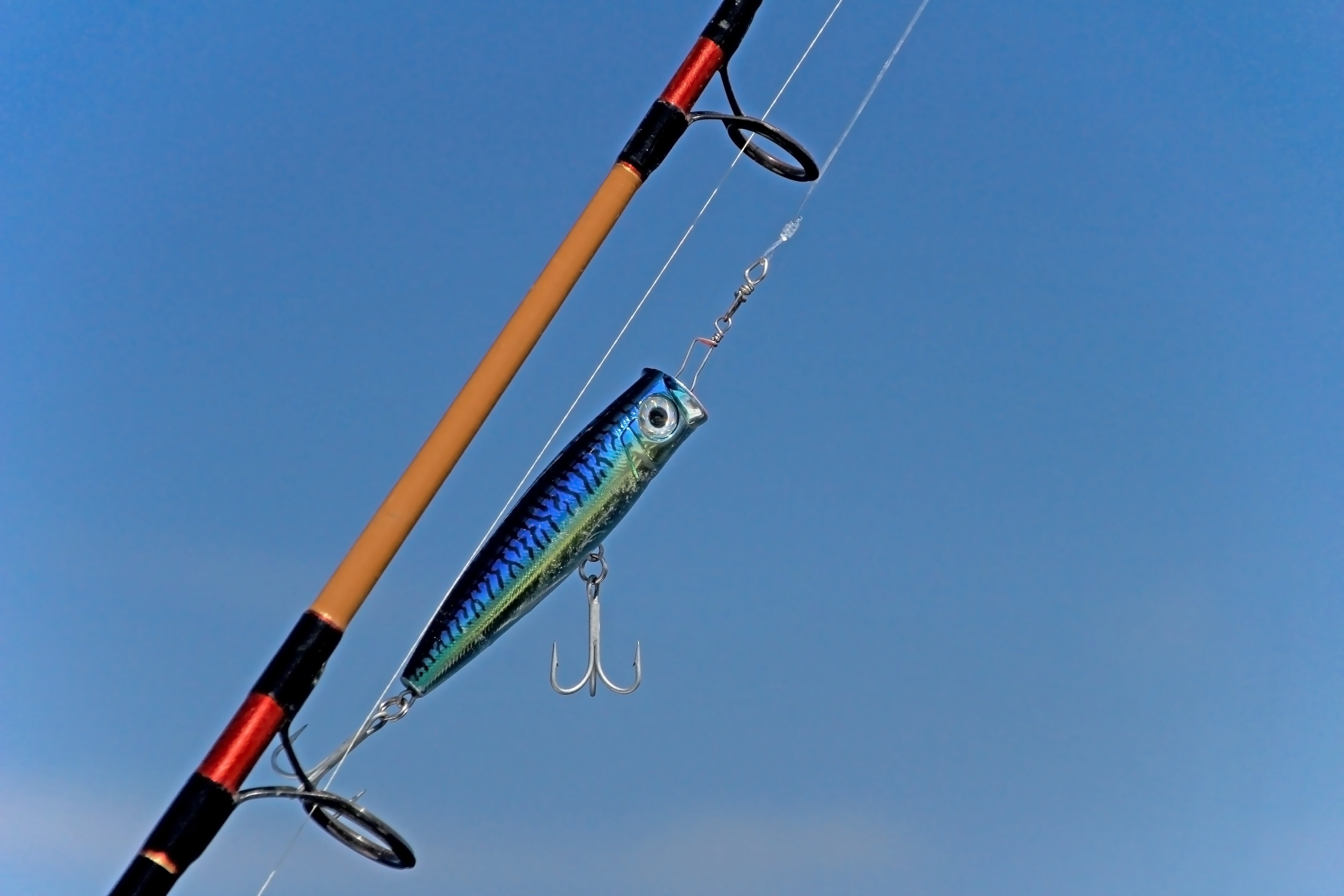 Poppers & StickBaits