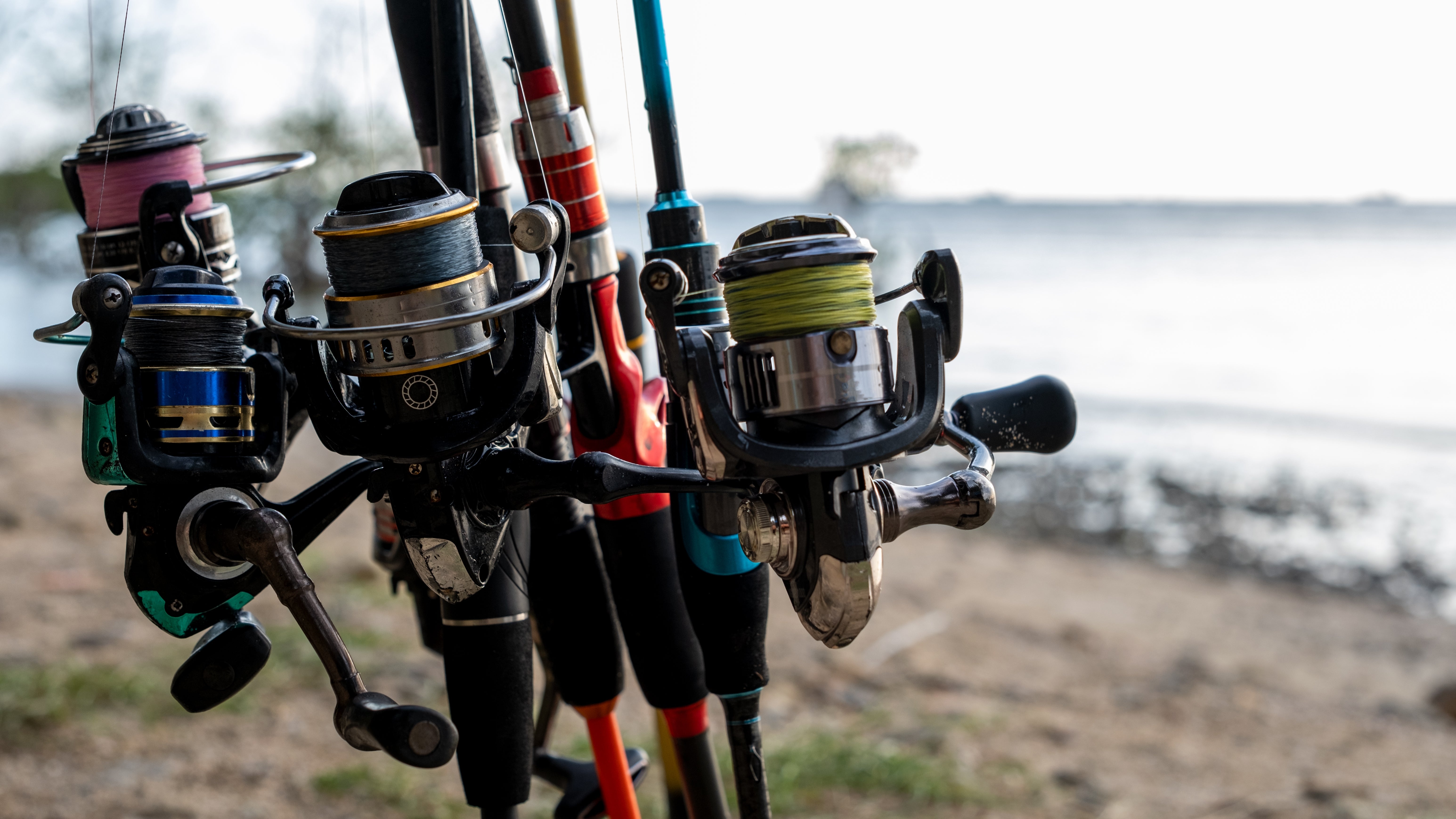 Rods & Reels